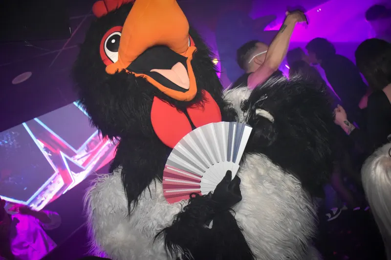 Photo de la soirée Made In France 🇫🇷