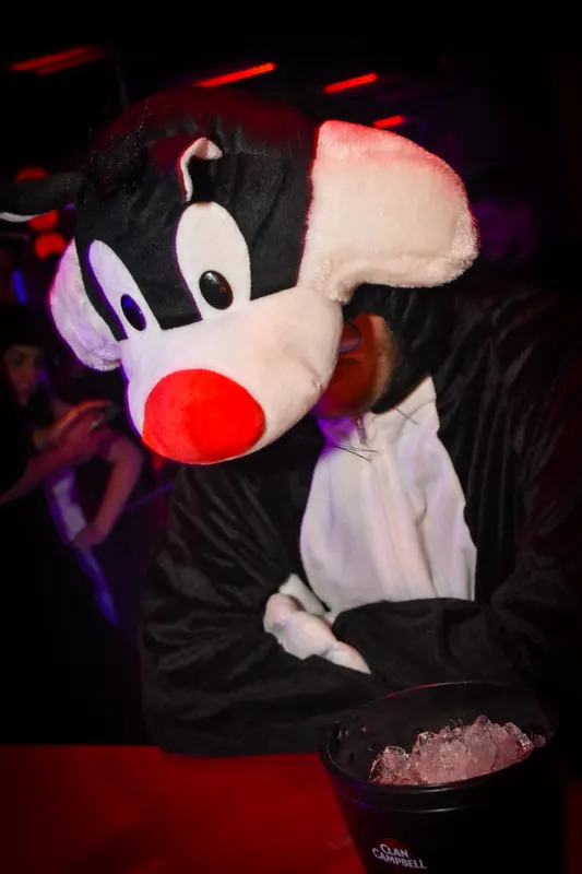 Photo de la soirée Laurent Pepper - KITSCH 👻